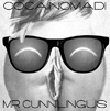 cocainomadi, mr cunnilingus, porno rock, firenze